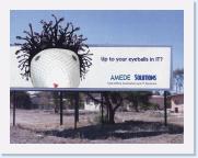 Amede Billboard 01 Solutions (c) Lofter1 * 19.05.2006 * 613 x 469 * (62KB)